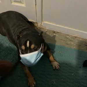 Meet your Posher, Emanuel